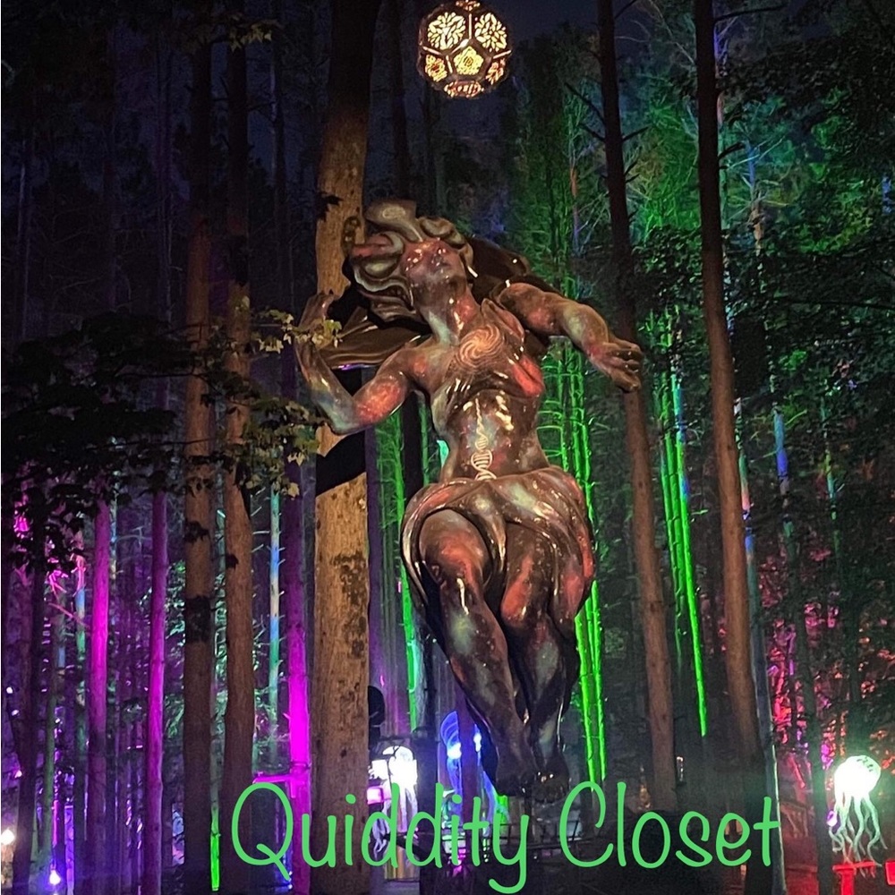 Quiddity is live!✨✨Like this for notifications✨✨unlisted item💝